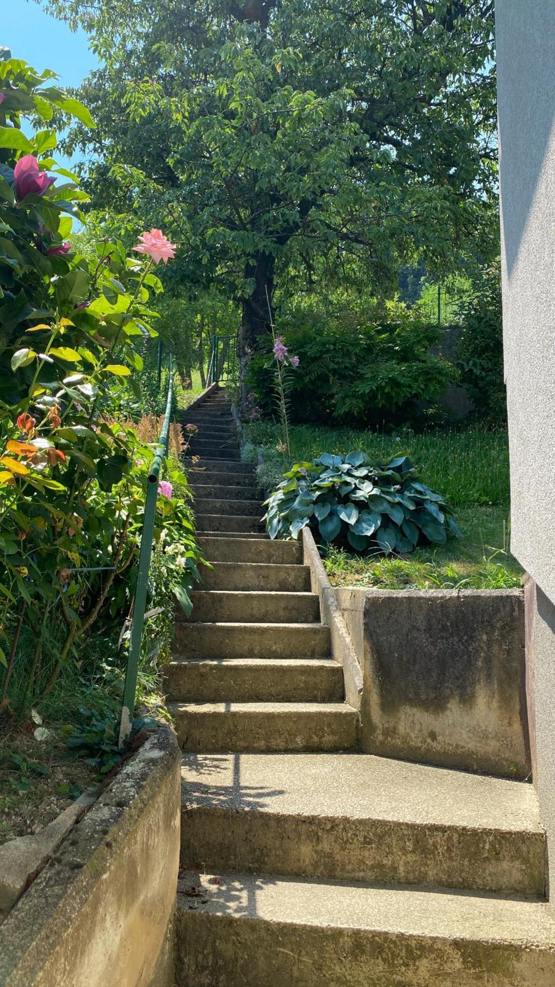 Semper Liberi Apartment Maribor Luaran gambar